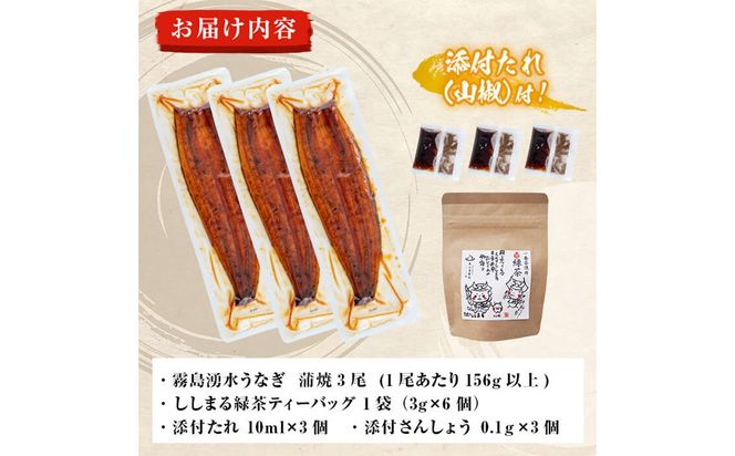 霧島湧水鰻3尾＆ししまるお茶セット 霧島湧水鰻(156g以上×3尾)＆緑茶ティーバッグ(3g×6個) b0-207