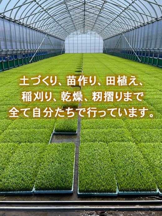 R7年産コシヒカリ5kg｜射水市 ライスファーマー山上 農家直送 射水の美味しいお米 精米 ※離島への配送不可