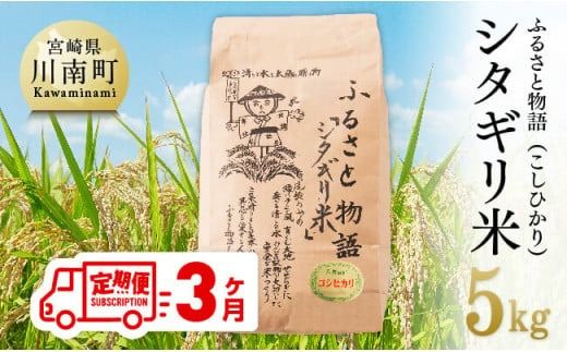 [3ヶ月定期便][令和7年産]宮崎県産こしひかり「シタギリ米」5kg [ お米 新米 定期便 全3回 ]☆[C04201t3]