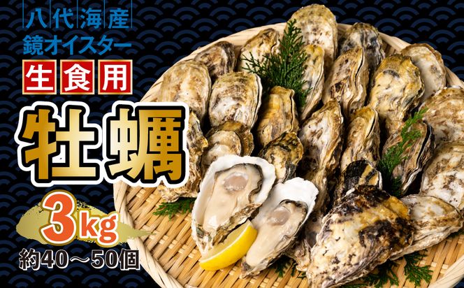 yF{szys\z y ICX^[ Hp 3kg ICX^[  VN ܂ BBQ y2025N12{菇z