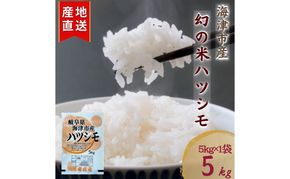 【令和7年度産/白米】ハツシモ 5kg 岐阜県海津市産