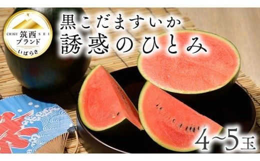 【 JA北つくば 】 黒こだますいか 「 誘惑のひとみ 」 4～5玉 2026年産 スイカ 果物 フルーツ 小玉スイカ 小玉 西瓜 くだもの デザート 茨城 [AE004ci]