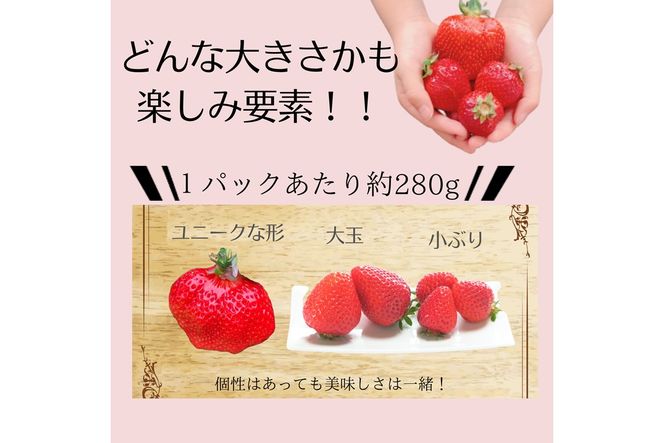 特別栽培あまおう4パック(サイズミックス)【うるう農園】_HA1968