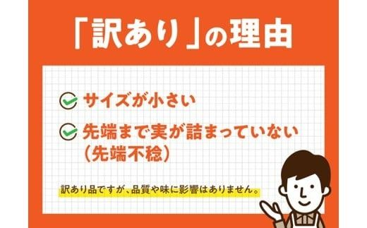 【訳あり】令和8年産とうもろこし　スイートコーン「ゴールドラッシュ」11本 【 新鮮 農家直送 トウモロコシ 産地直送 季節限定 期間限定 宮崎県産 九州産 】 [C09101]