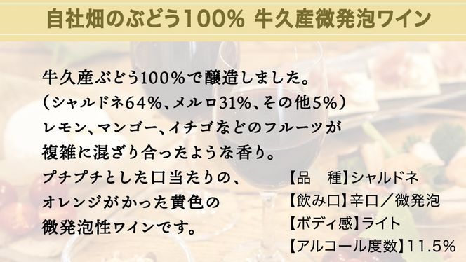 恵野果 牛久ペティヤン 2024 茨城県産 牛久醸造場 日本ワイン ワイン お酒 贈り物 上品 果実 クリスマス 誕生日 微発泡 スパークリング シャルドネ フルーティ 辛口 ライトボディ