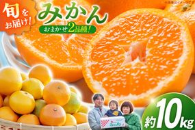CC003 森崎果樹園のこだわり旬のみかんセット 10kg [みかん ミカン 旬 10キロ 長崎県 島原市]