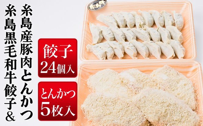 糸島産豚肉 ロース 衣付き カツ 5枚 ギョーザ 24個 セット 《糸島》 【糸島ミートデリ工房】 [ACA070]