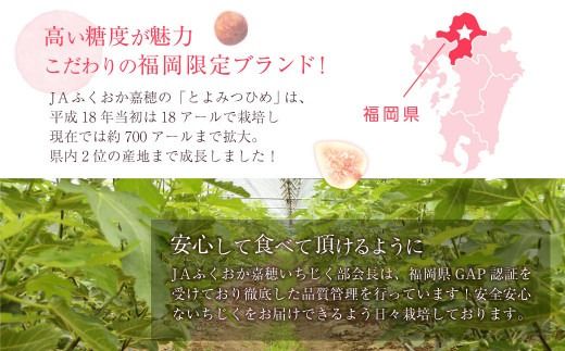 JAふくおか嘉穂 いちじく とよみつひめ 秀品 300g（3～5玉）×4パック 計1.2kg 【2026年8月上旬～10月下旬発送予定】