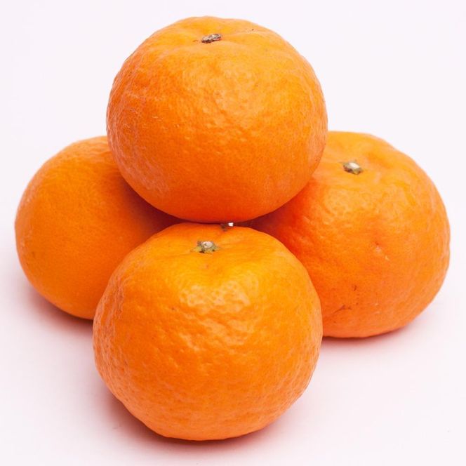 ［先行予約］厳選 カラマンダリン1kg+250g（傷み補償分）［南津海・なつみ］［希少な春柑橘］［みかんと同じように食べられます］［IKE65］ 303446_BB97313