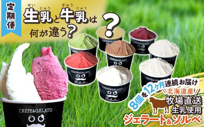 ＜12ヶ月定期便＞北海道産 生乳 ジェラート アイス 毎月8個  詰め合わせ ジェラートセット