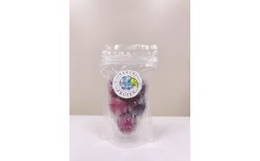 SANUKIFROZEN ピオーネ 60g×8袋 372013_KF016