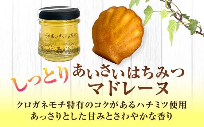 焼き菓子 はちみつ使用 あいさいはちみつマドレーヌ 15個入り 洋菓子 マドレーヌ ハチミツ 愛西市 / エール・ブランシュ 【配達不可：離島】 [AEAU012]