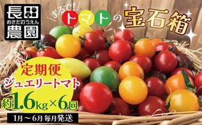 【先行受付】2027年1月～6月毎月発送　まるでトマトの宝石箱！ジュエリートマトの定期便　6回コース 長田農園 産地直送 カラフル トマト とまと 野菜 やさい フルーツ サラダ 濃厚 甘い ご褒美 プレゼント 美容 健康 リピート多数 人気 高評価 先行受付 数量限定 碧南市 H004-249