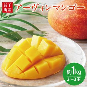 【数量限定】益恋 マンゴー 約1kg（2～3玉）| 7月中旬より順次発送 マンゴー フルーツ 果物 新鮮 旬 益子町産 (CA005)