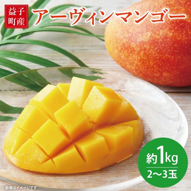 【先行予約】【数量限定】益恋 マンゴー 約1kg（2～3玉）| 7月中旬より順次発送 マンゴー フルーツ 果物 新鮮 旬 益子町産 (CA005)