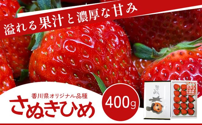 いちご 香川県オリジナル品種 さぬきひめ 400g 化粧箱 1月2月発送 香川県産 苺 イチゴ フルーツ 果物 くだもの 旬のフルーツ 旬の果物 大粒 採れたて 冷蔵 香川 香川県 東かがわ市