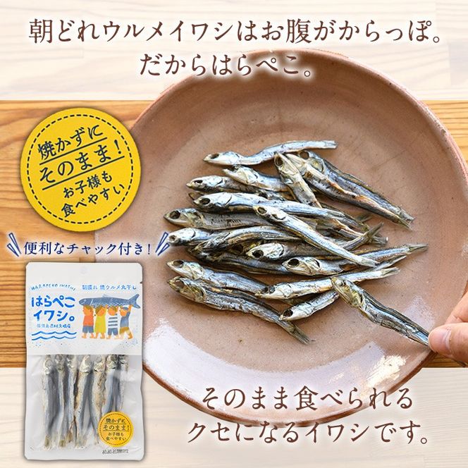 はらぺこイワシ20袋セット(25g×20袋)海産物 いわし 鰯 おつまみ おかず【下園薩男商店】akn086-15