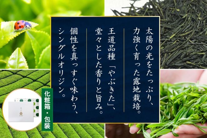 お茶 緑茶 煎茶 晟 70g×2本 [谷岩茶舗 宮崎県 日向市 452061611] セット 緑茶 やぶきた プラチナ賞 日本茶