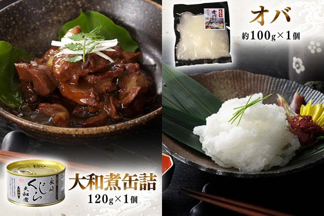 BJ154 美味しい 鯨 5種詰め合わせAセット 計520g( 大和煮 オバ ベーコンブロック 湯かけくじら さえずりブロック )[ くじら クジラ 鯨肉 湯引き 簡単調理 おつまみ 肴 珍味 日野商店 長崎県 島原市 ]