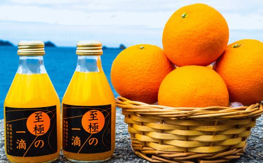 田村みかんの新鮮100％ジュース「至極の一滴」180ml×15本入り【tec935A】