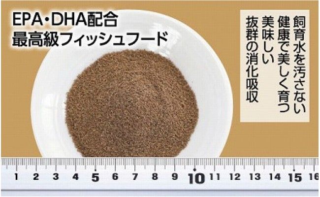 【CF-R7hbk】KGC005　GROW B 55g 小型熱帯魚用 ＜最高級 フィッシュフード EPA・DHA配合 らんちゅう 細粒タイプ 魚 餌＞ グッピー テトラ プラティ ランプアイ モーリー 【餌 えさ エサ】【観賞魚 餌やり】【水槽/熱帯魚/観賞魚/飼育】【生体】【アクアリウム/あくありうむ】
