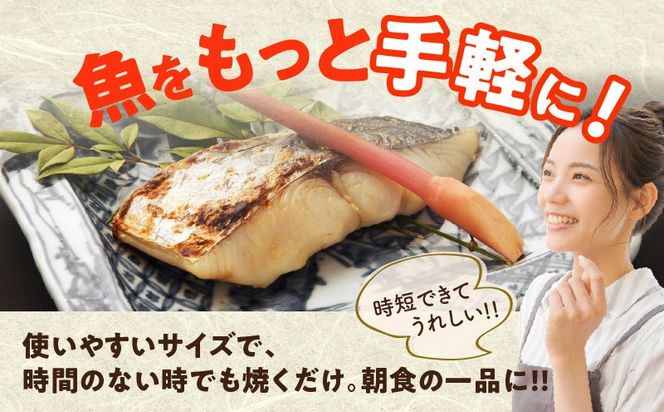 G3712 【定期便】さわら 切身 約50g×20切れ 全2回【2026年1月＆2026年4月発送 小分け 漁師 手切り 1kg 泉州 鰆 切り身 弁当 朝食 時短 訳あり サイズ不揃い 規格外 冷凍食品】