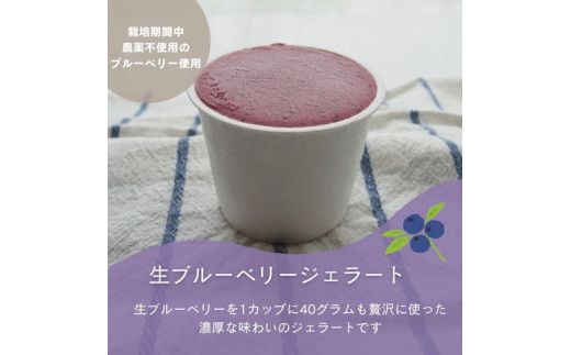 ×廃盤×手作り生ブルーベリージェラート6個入り ※離島への配送不可