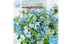 【CF-R7hbk】t178tmf　《3ヵ月定期便》 ブルースター 花束 初回花瓶付 定期便 定期コース 全3回 延命剤付き ラッピング 花びん 生花 花束 ブーケ 花 お花 可愛い キレイ おしゃれ 供花 お供え ギフト プレゼント
