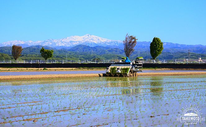特別栽培コシヒカリ　白米10kg（5kg×2） お米 
