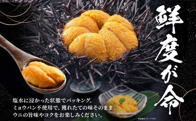 ミョウバン不使用 塩水 ウニ100g 3パック 7月下旬頃までお届け  [水揚げ後 順次出荷]  キタムラサキウニ うに ウニ 雲丹 ムラサキウニ 魚貝 魚介 海鮮 海産 小川商店 送料無料 北海道 洞爺湖