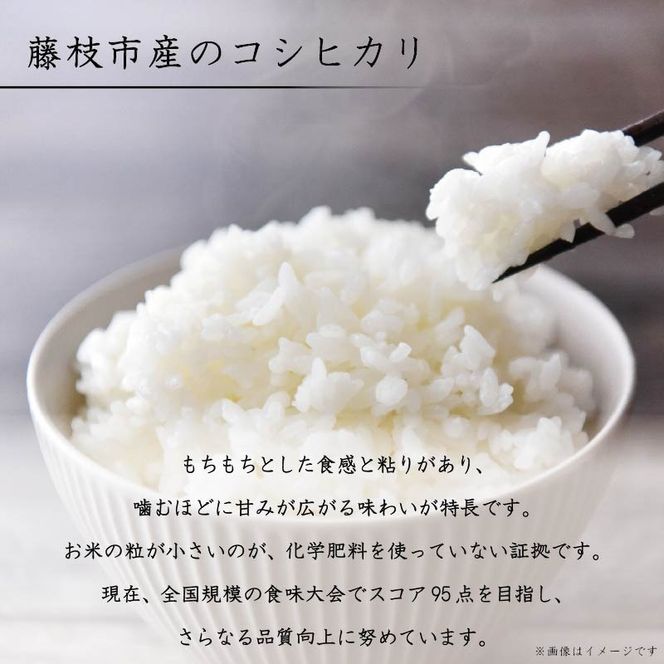 yÉ}szy10{z V ̍ RVqJ 10kg  ߘa7NxY ÉY É̂   L@엿   ͂  Y Yn É }s