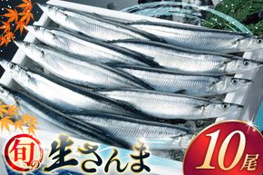 【期間限定発送】 生 さんま 10尾 [阿部長商店 宮城県 気仙沼市 20565760] 魚 サンマ 秋刀魚 生鮮 鮮魚 季節限定