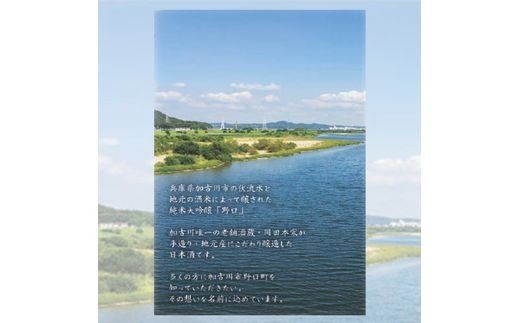 日本酒 「野口」純米大吟醸《 日本酒 酒 お酒 純米大吟醸 大吟醸 山田錦 》【2401F16301】