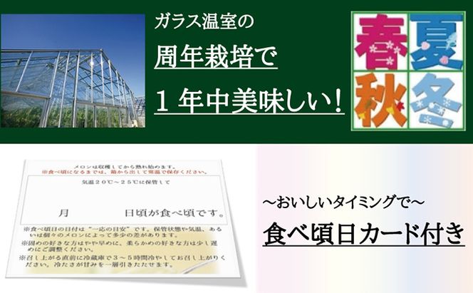 クラウンメロン（白等級）中玉　2玉入 果物類 メロン青肉 