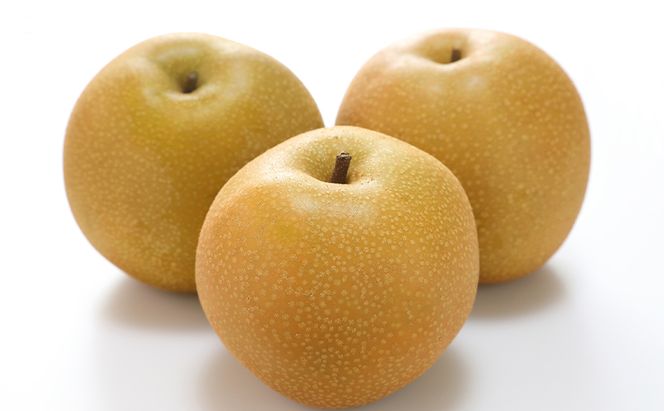 ぶどう 梨 定期便 2026年 先行予約 フルーツ王国 岡山を堪能 4回コース 秋・冬物語 葡萄 ぶどう 梨 なし 岡山県産 国産 果物 セット ギフト 