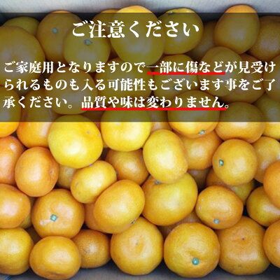 AT6315_【2026年先行予約】ご家庭用　有田みかん 約7kg (2L、3Lサイズ)【湯浅町】