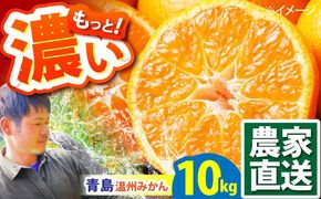 【2026年1月～発送】青島 温州みかん 10kg / みかん ミカン 蜜柑 甘い フルーツ 果物 / 南島原市 / 蜜柑屋まつお[SCQ003]