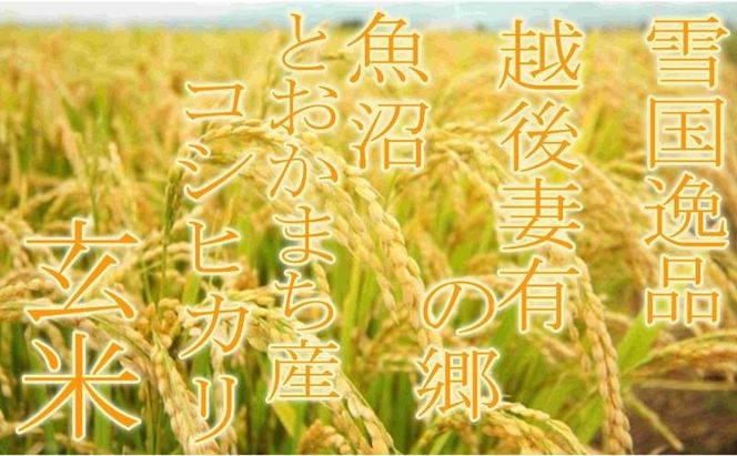 【令和8年産 先行予約】●定期便・玄米●【雪国逸品5kg×6ヶ月】 越後妻有の郷 魚沼十日町産コシヒカリ お米 ご飯 良質 ミネラル 極上 新鮮 香り つや 粘り