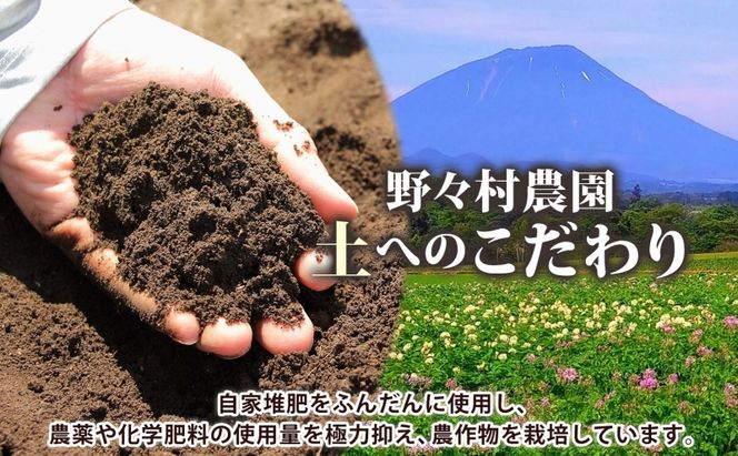 【2026.5楽天注目の寄付額の返礼品特集】北海道 洞爺湖町産 新じゃがいも とうや 約10kg  Mサイズ以上混載 2026年10月初旬より順次出荷 北海道産 新じゃが じゃがいも ジャガイモ 馬鈴薯 旬 野菜 農作物 送料無料 産地直送 常温 洞爺湖町 