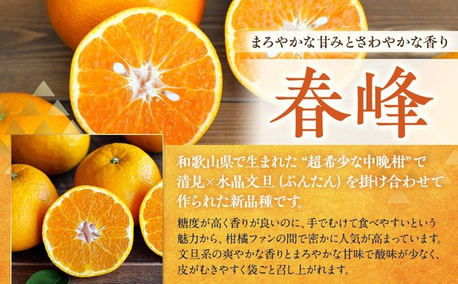 訳あり 春峰 1kg M～2Lサイズおまかせ 高石垣ファーム  K014