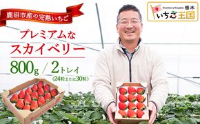 プレミアムな完熟スカイベリー（24粒または30粒）2トレイ800g 【先行予約/数量限定】| 栃木県 鹿沼市 産地直送 旬 いちご こだわり 高級品 贈答用 イチゴ 苺 果物 フルーツ 期間限定 ※2026年12月～発送