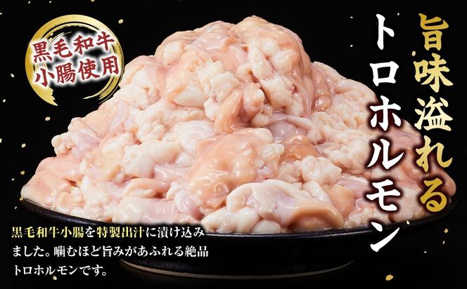 黒毛和牛トロホルモン（小腸）　特製だし3kg ( 300g × 10パック )【配送月が選べる】