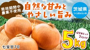 【先行予約】つくばみらい市産たまねぎ 5kg （七宝甘70）保管に便利な 貯蔵 ネット付【2026年5月より発送開始】 タマネギ 国産 茨城県産 甘い 辛くない 旨味 栽培期間中農薬不使用大玉 サラダ スープ 箱売り キロ販売 業務用 大容量 [FH01-NT]