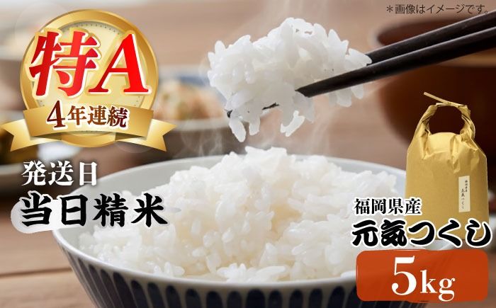 令和7年産[特A]評価のお米「元気つくし」5kg×1袋 [5kg] [白米][築上町][株式会社ベネフィス][ABDF201]