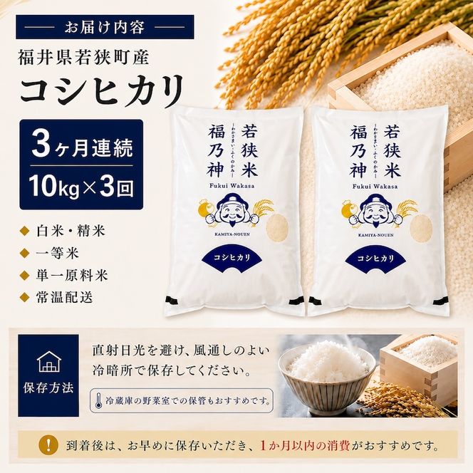 3ケ月連続 福井県若狭町 コシヒカリ （一等米） 10kg（5kg×2）（神谷農園） お米 ブランド米 銘柄米 ご飯 おにぎり お弁当 産地直送 和食 主食