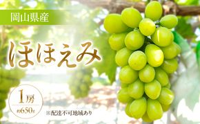 【限定200個】【2026年先行予約】 ぶどう 岡山県産 超希少品種 ほほえみ 1房(約650g) 《2026年8月下旬-9月中旬頃出荷》 葡萄 ブドウ フルーツ 果物 スイーツ 数量限定 期間限定 岡山 里庄町