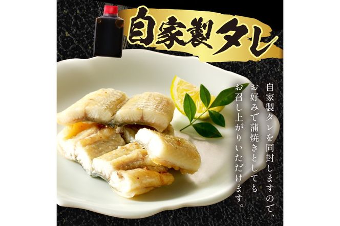 【土用の丑の日までに届く！】"新月の塩"使用　うなぎの塩焼き2～3人前(1尾) ふるさと納税 鰻  国産 ウナギ 塩焼き うな丼 うな重 惣菜 京都 ギフト 贈り物 お祝い　AN00098