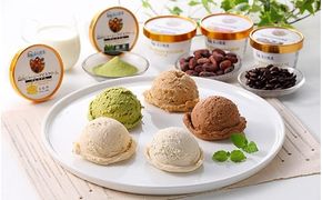 蒜山ジャージープレミアムアイスクリーム 12個セット / 岡山 真庭 極上スイーツ プレゼント ギフト ジャージー 牛乳 バニラ ミルク チョコ コーヒー 抹茶 アイス 贈答 食べ比べ 【hiru011-01】