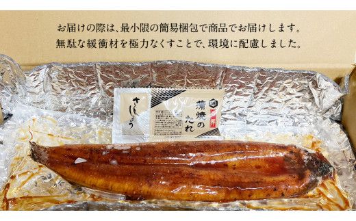 鹿児島県産 有頭 鰻 蒲焼 × 4尾 （ 1尾 135g ～ 155g 以上） うなぎ ウナギ 土用丑の日 家庭用 贅沢 国産 旬 敬老の日 タレ 山椒 付 縁起 [DQ008us]