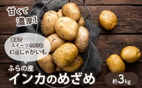 【2026年秋冬発送】濃厚な甘さ！黄金のじゃがいも インカの目覚め 約3kg 野菜 芋 インカ